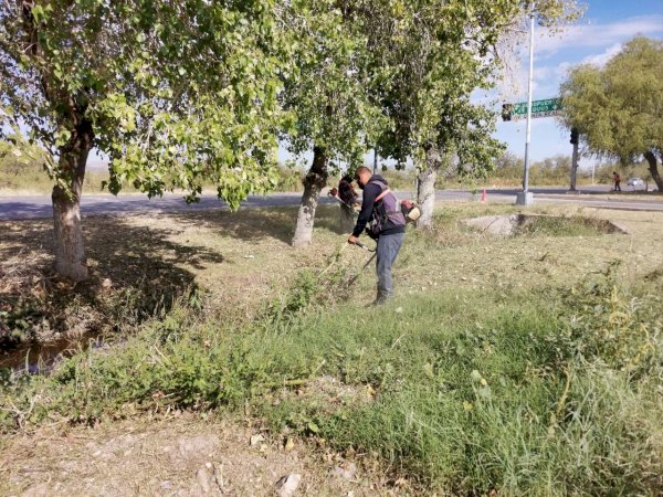 Retiran Maleza De Parques Y Jardines De La Ciudad La Opci N De