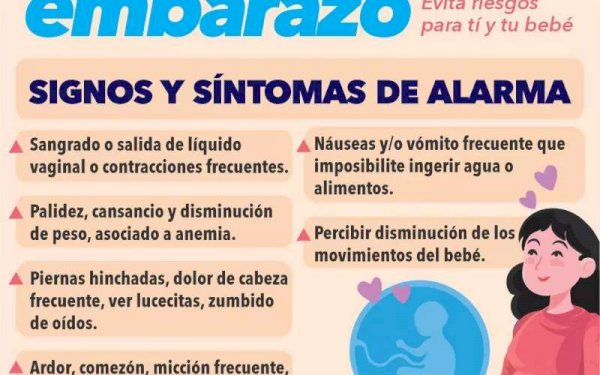 Informan Sobre Signos Y S Ntomas De Alerta Durante El Embarazo La