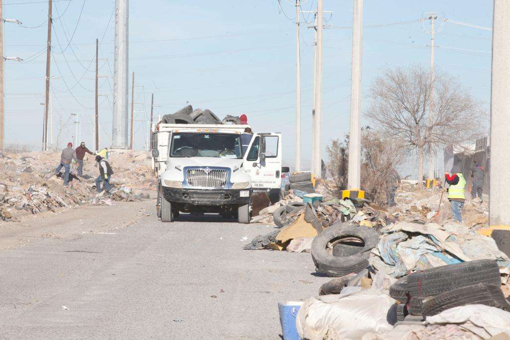 Han Retirado De La Calle Mar De Plata Toneladas De Basura La