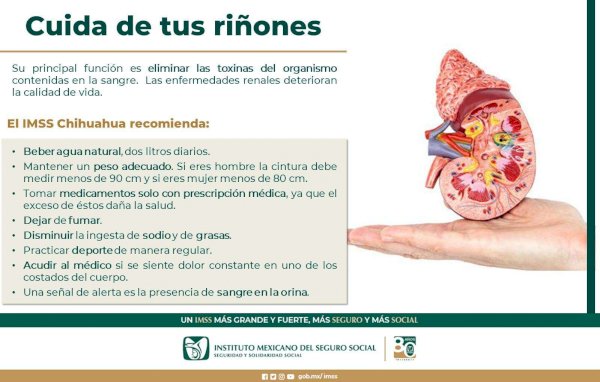 Exhorta Imss a cuidar la alimentación para prevenir daño en riñones