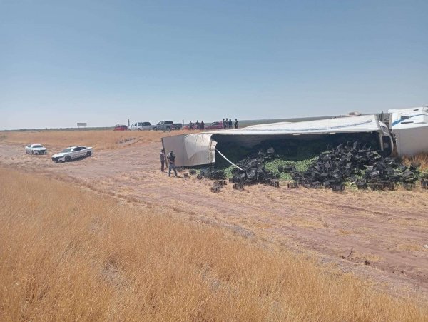 Vuelca tractocamión aparatosamente en carretera a Jiménez La Opción