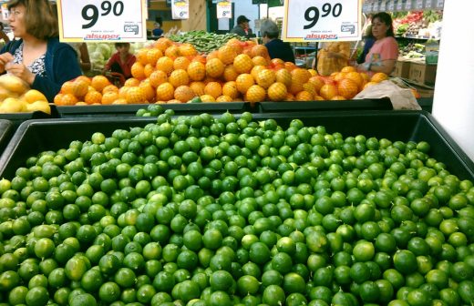 Cae el precio del limón ante llegada de producción de Colima y Veracruz