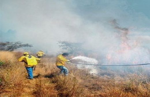 Aumenta a 119 número de incendios en la zona forestal del estado