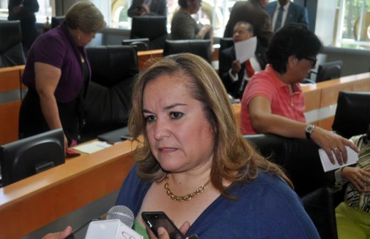 No procede auditar a la CTC: Elvira González 