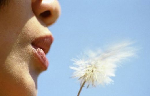 Aumenta en agosto presencia de agentes alergénicos en el ambiente