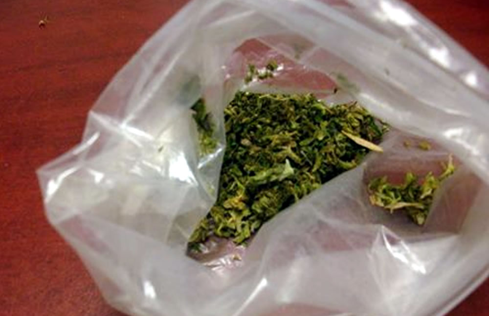 Marihuana confiscada