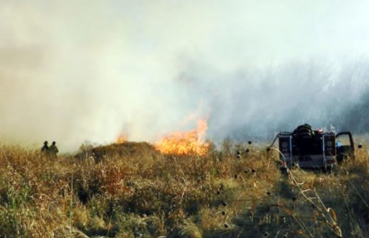 Se incendia maizal en Camargo