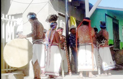 Usan danza del Peyote como baile de curación entre Rarámuris
