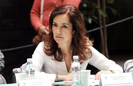 El gobierno ha llevado al debacle la economía del país: Rocío Reza