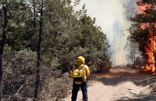 Se posiciona Chihuahua en segundo lugar nacional en incendios forestales