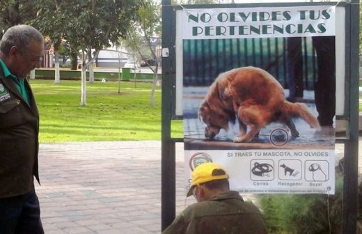 Emiten recomendaciones para paseo de mascotas en la Ciudad Deportiva