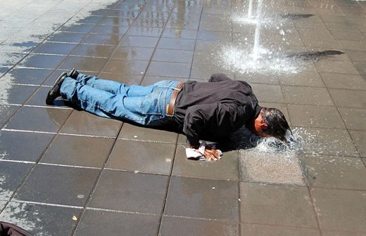 La Opcin De Chihuahua | para estos calores la opci 243 n de chihuahua La Opcin De Chihuahua | para estos calores la opci 243 n de chihuahua