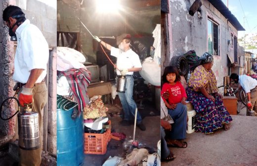 Beneficia campaña de fumigación a 600 familias de asentamientos tarahumaras