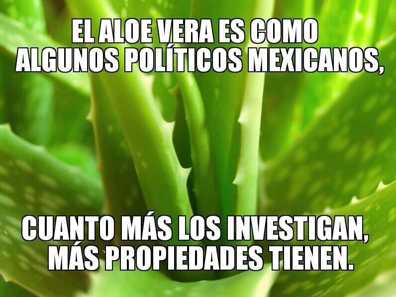 Políticos mexicanos 