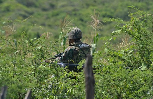 Siguen sumando fosas clandestinas; hallan 13 cuerpos en Ocotitlán