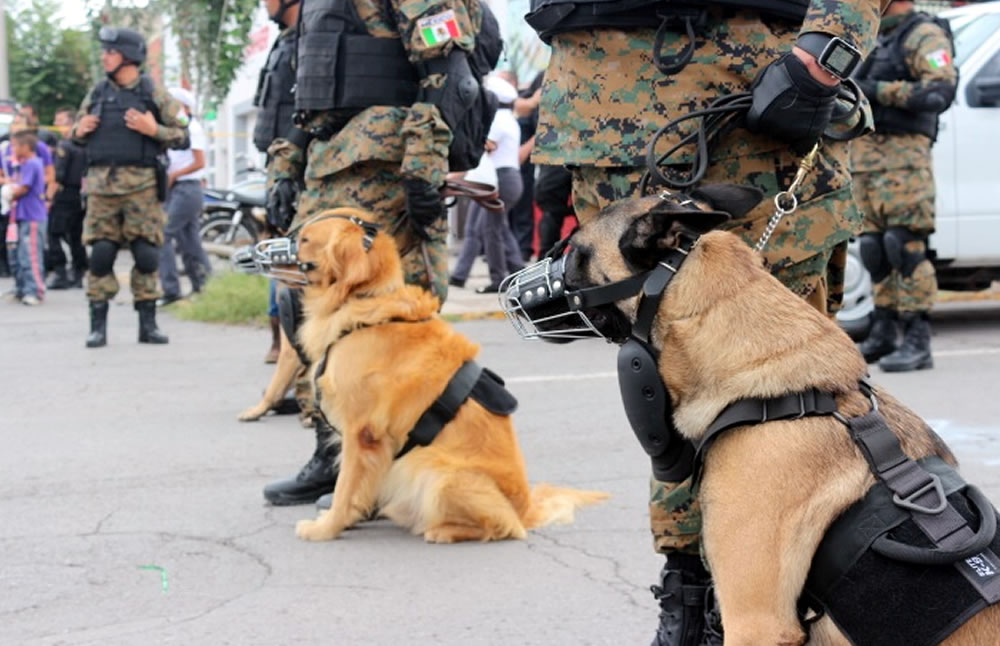Participaron 13 oficiales caninos