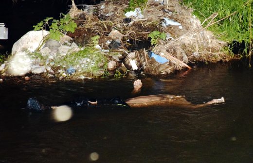 Identifican cuerpos hallados en río Sacramento; eran hermanos
