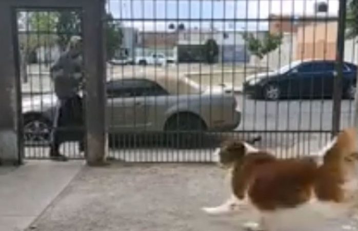 Intenta entrar a casa en los portales y lo ahuyenta perro (VIRAL)
