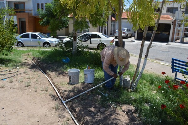 En Los Arroyos y Paseos de Chihuahua