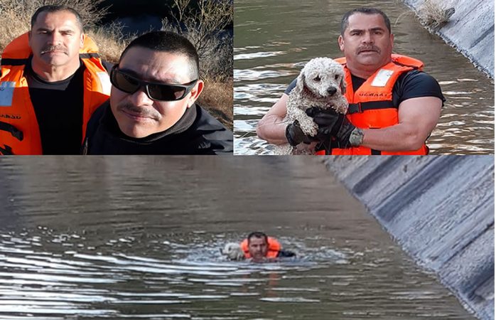 Salvan bomberos a perrito que cayó en presa Chihuahua