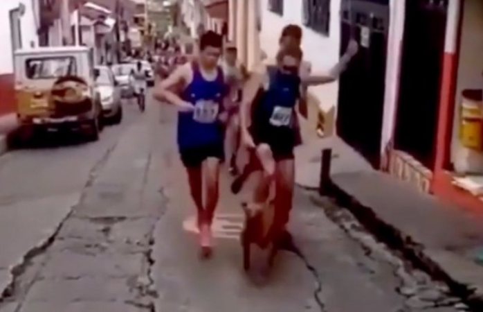 Corredor pierde patrocinios por patear a perro en plena carrera