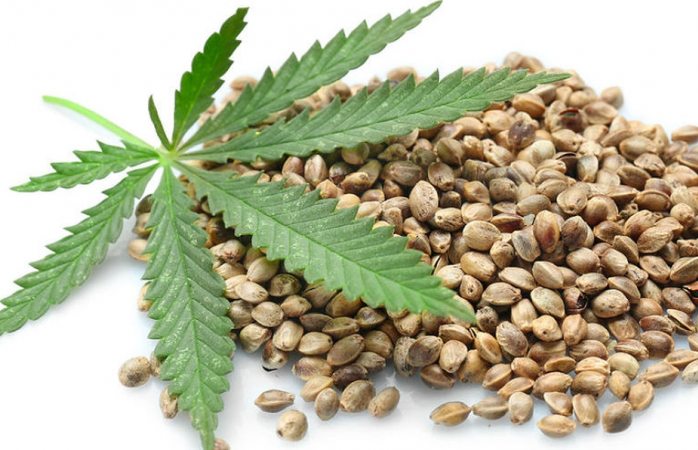 Con licencia se podrá traer hasta 200 gramos de marihuana