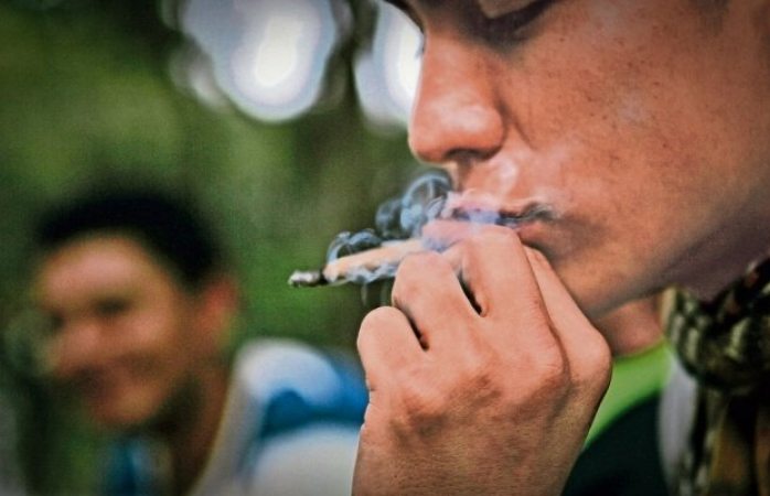 Comisiones del senado van por despenalizar marihuana