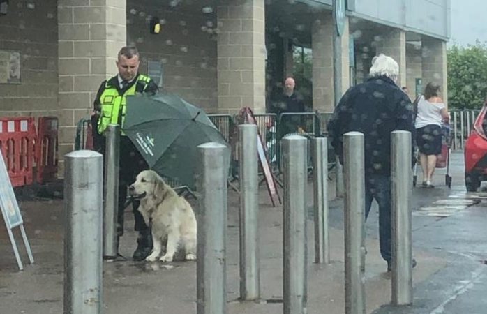 Protege guardia de seguridad de la lluvia a perrito con su paraguas