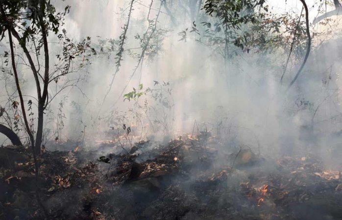 Impondrían multa de 2.6 mdp a joven de TikTok por incendio en Tepoztlán