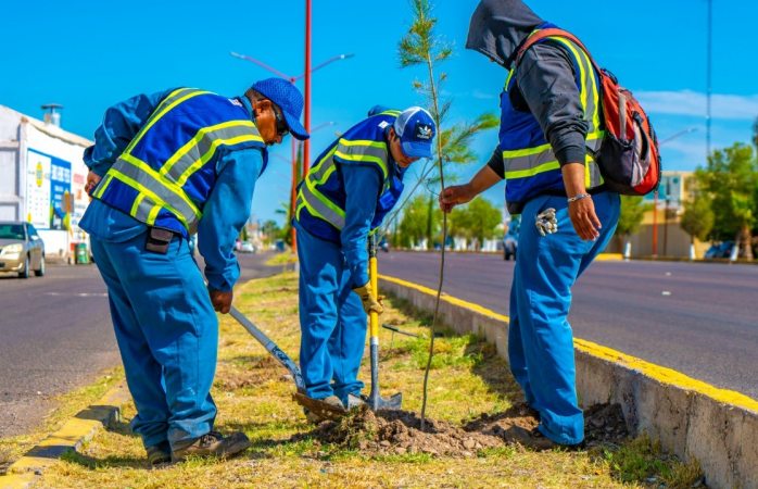 Plantan más de 6 mil árboles en Delicias
