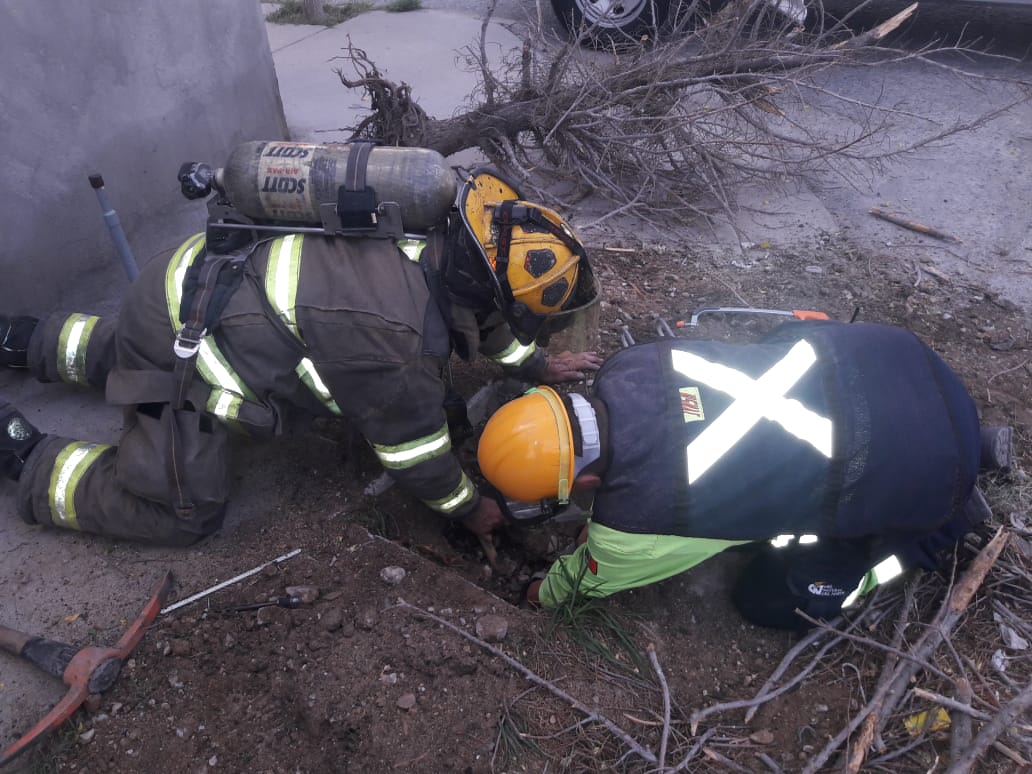 Atienden bomberos juarenses varios incidentes