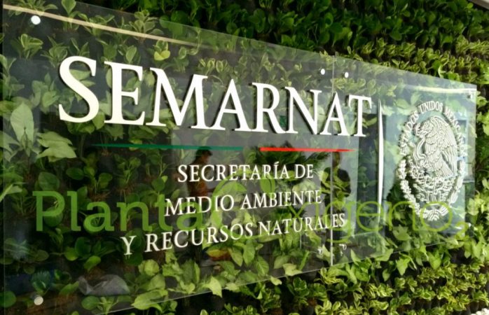 Trabaja semarnat hoja de ruta para la prohibición glifosato