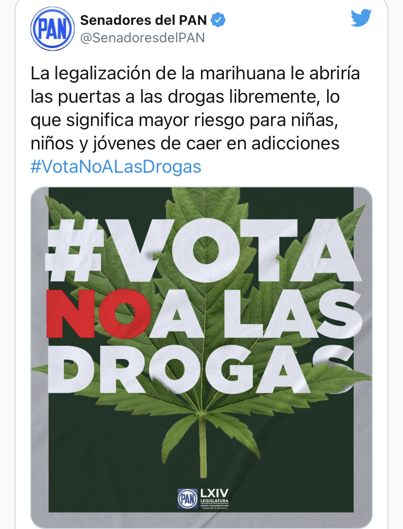 Acción Nacional rechaza la legalización del Cannabis 