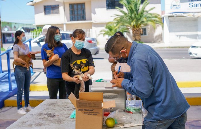 Sigue campaña de vacunación antirrábica hasta el 21 de octubre 