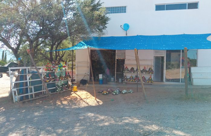 Desconocen vendedores de flores cierre de panteones para día de muertos