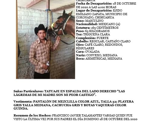 Francisco Javier Talamantes Varga