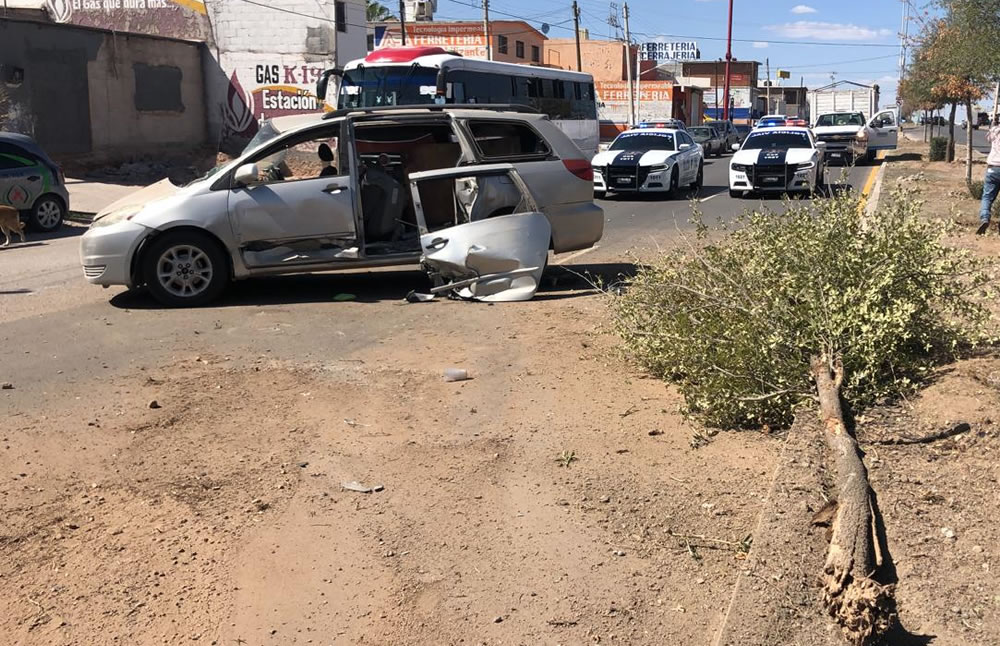 El vehículo particular derribó un árbol y volcó