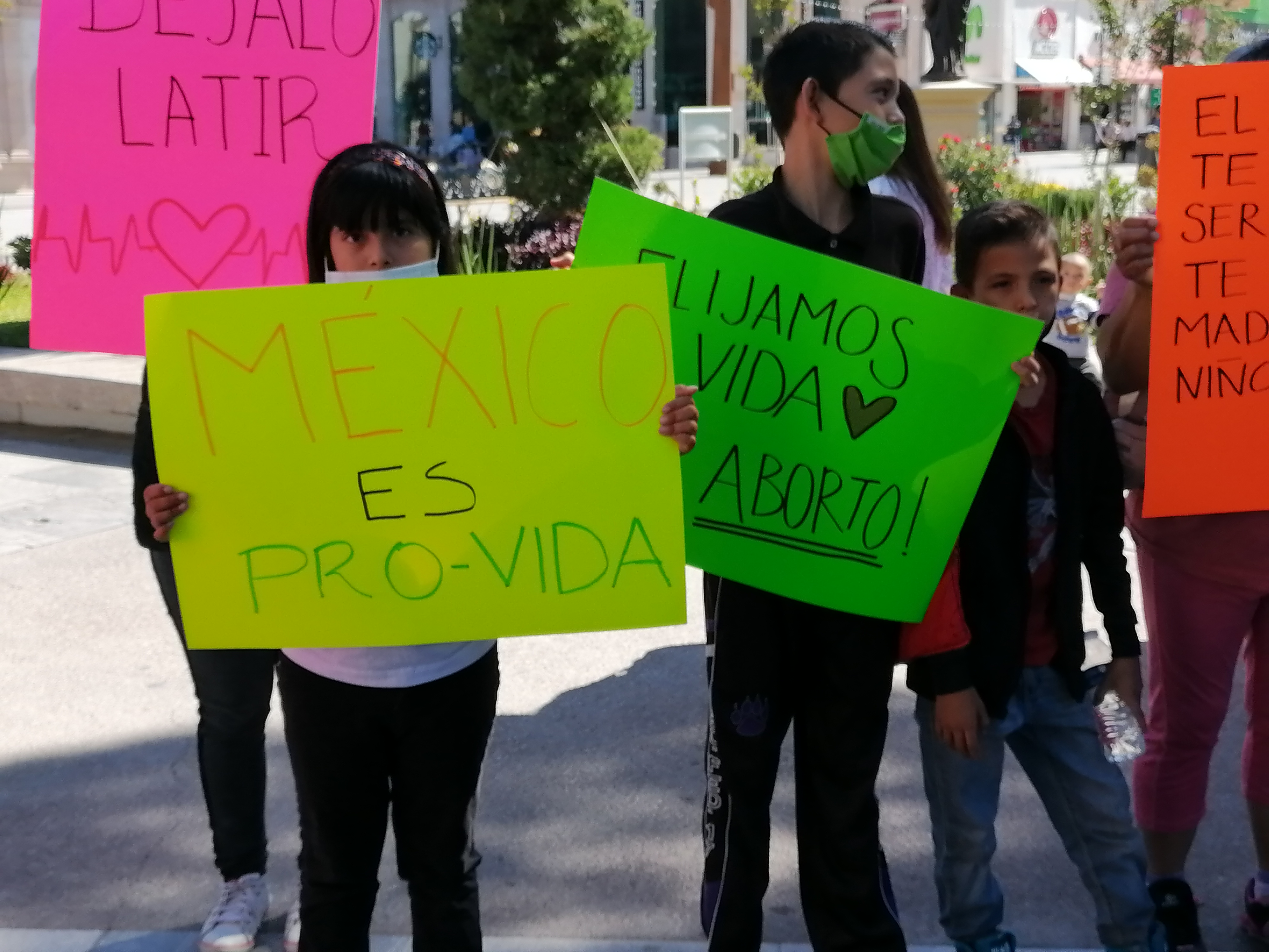 Manifestación provida