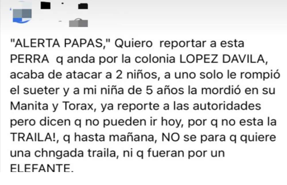 Ataca perro a menores y autoridades no pueden ir por el 