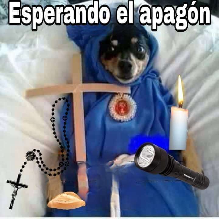 Esperando | La Opción de Chihuahua