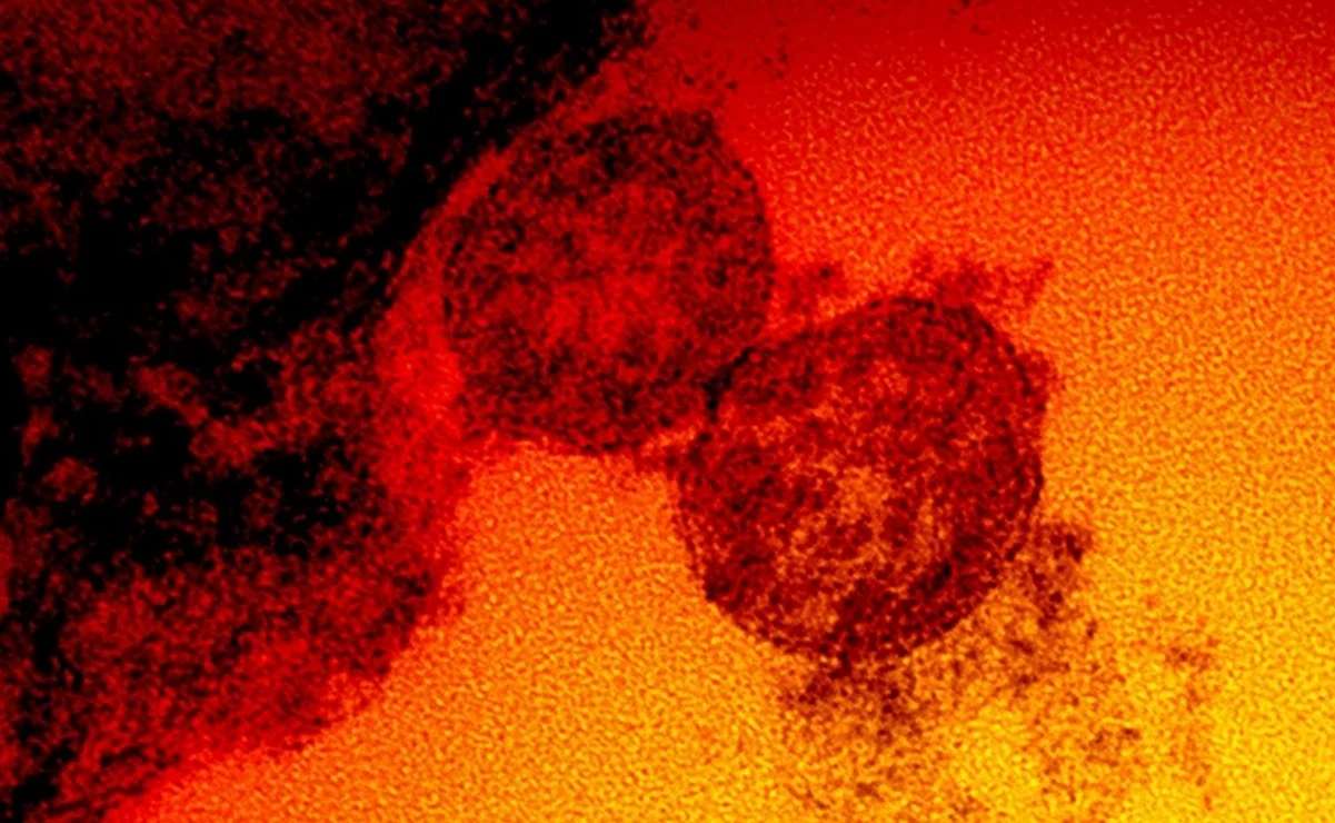 Mutación del coronavirus aumenta carga viral en vías respiratorias: estudio