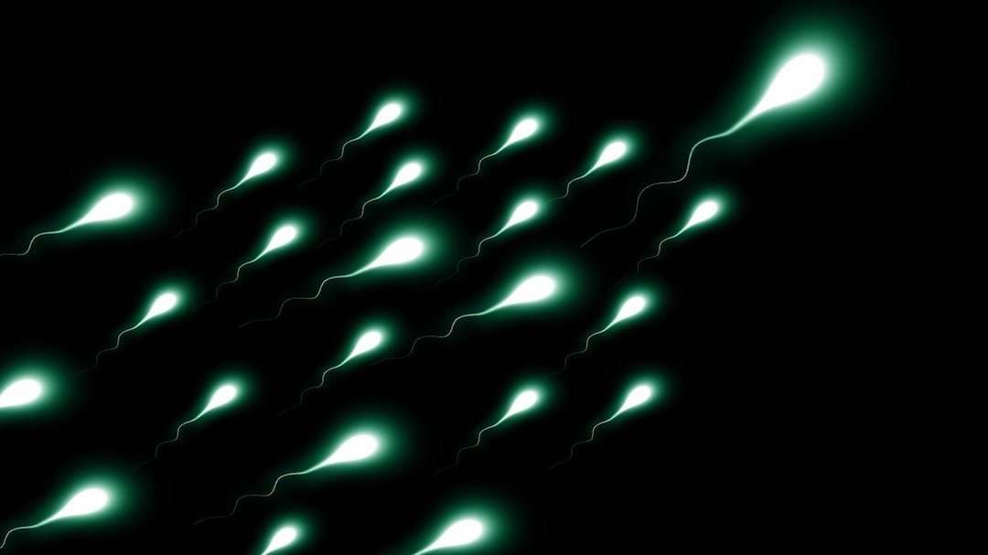 Descenso en cantidad de espermatozoides en hombres sanos amenaza la supervivencia humana: experta
