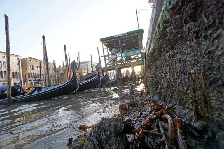 Se queda venecia sin agua