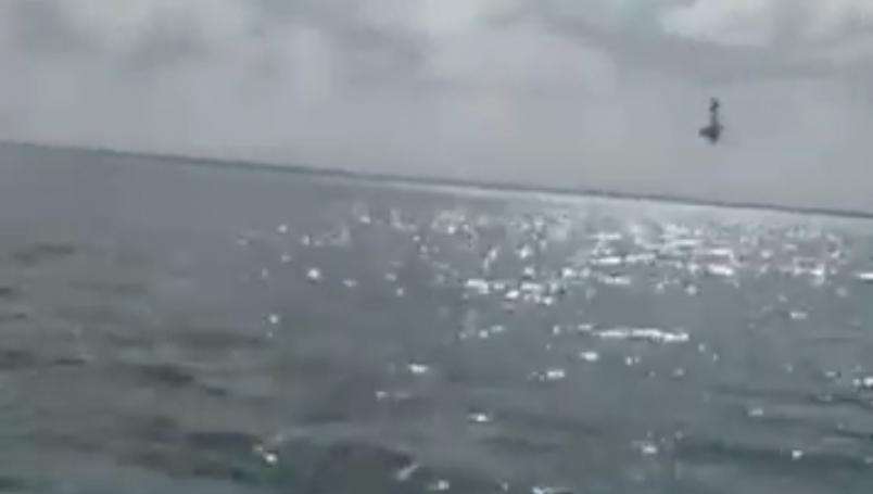 Se desploma avioneta en gender reveal en cancún; hay un muerto