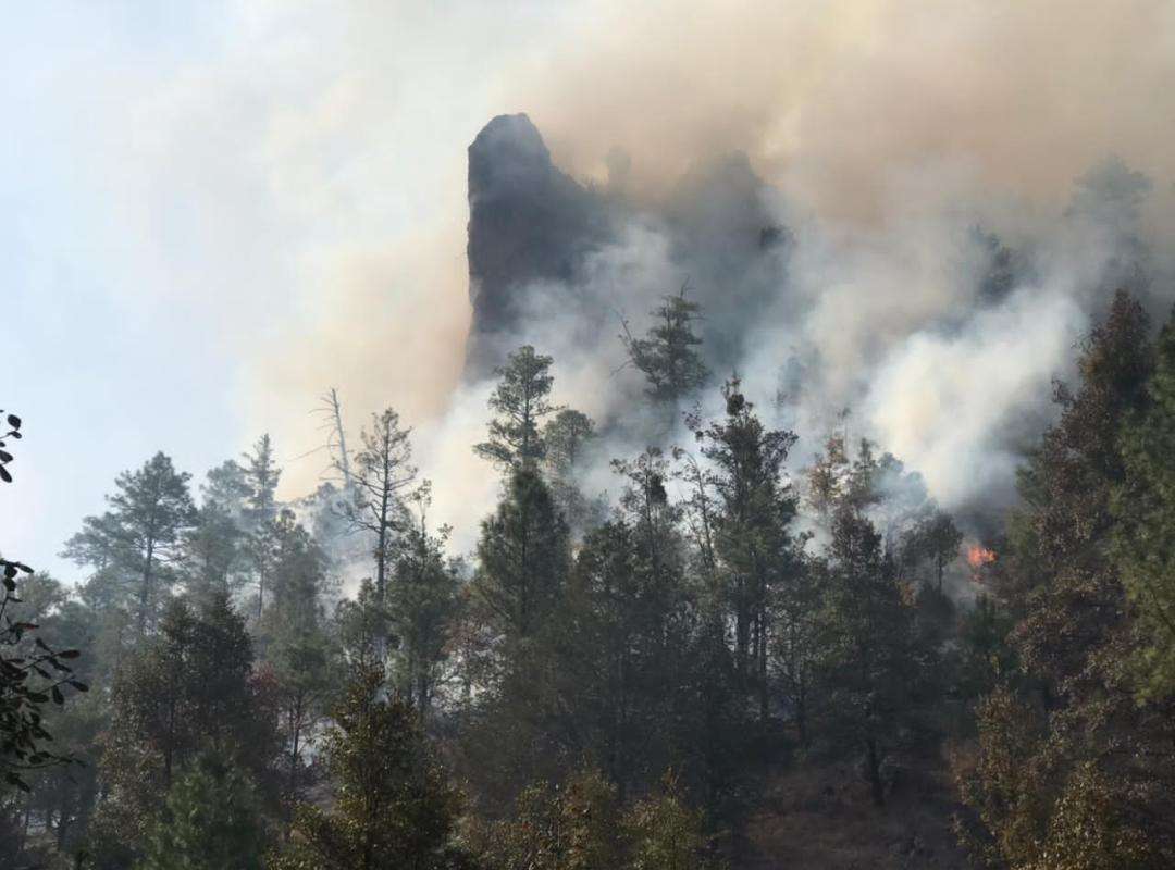 Logran controlar voraz incendio en la zona serrana | La Opción de Chihuahua