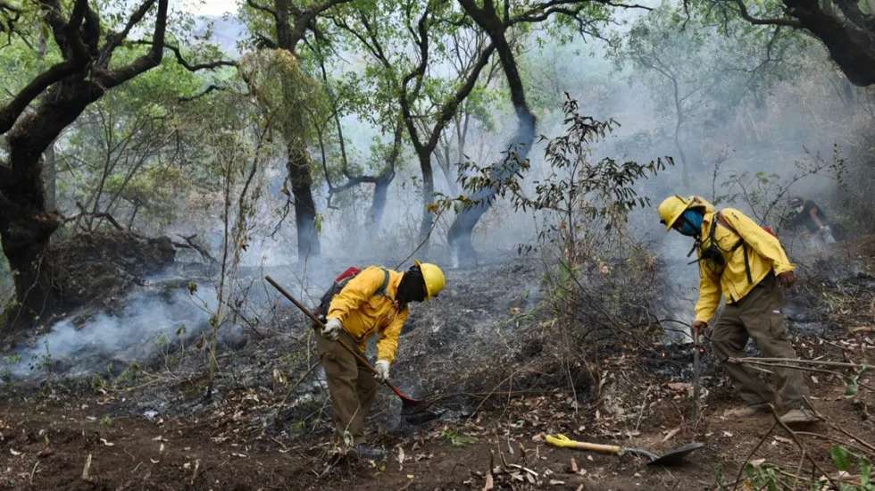 Controlan al 100% incendio en tepoztlán, morelos