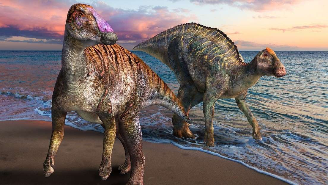 Identifican un nuevo dinosaurio con dentadura inusual