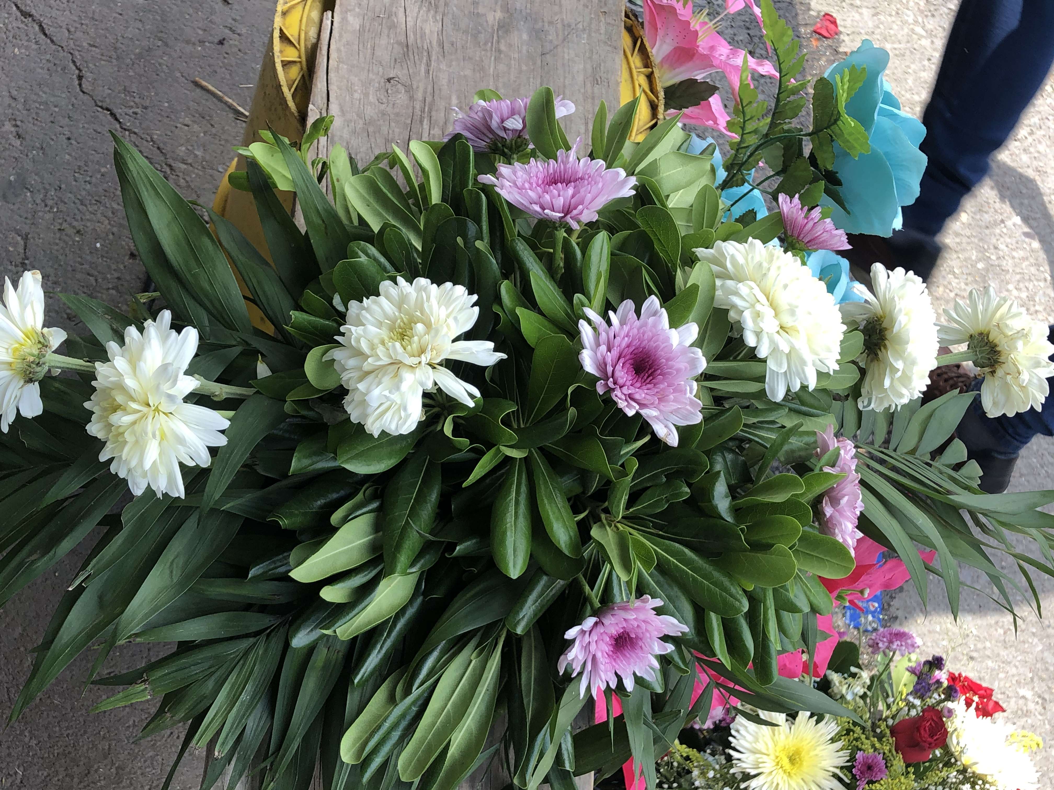 Gran afluencia en florerías por día de las madres | La Opción de Chihuahua