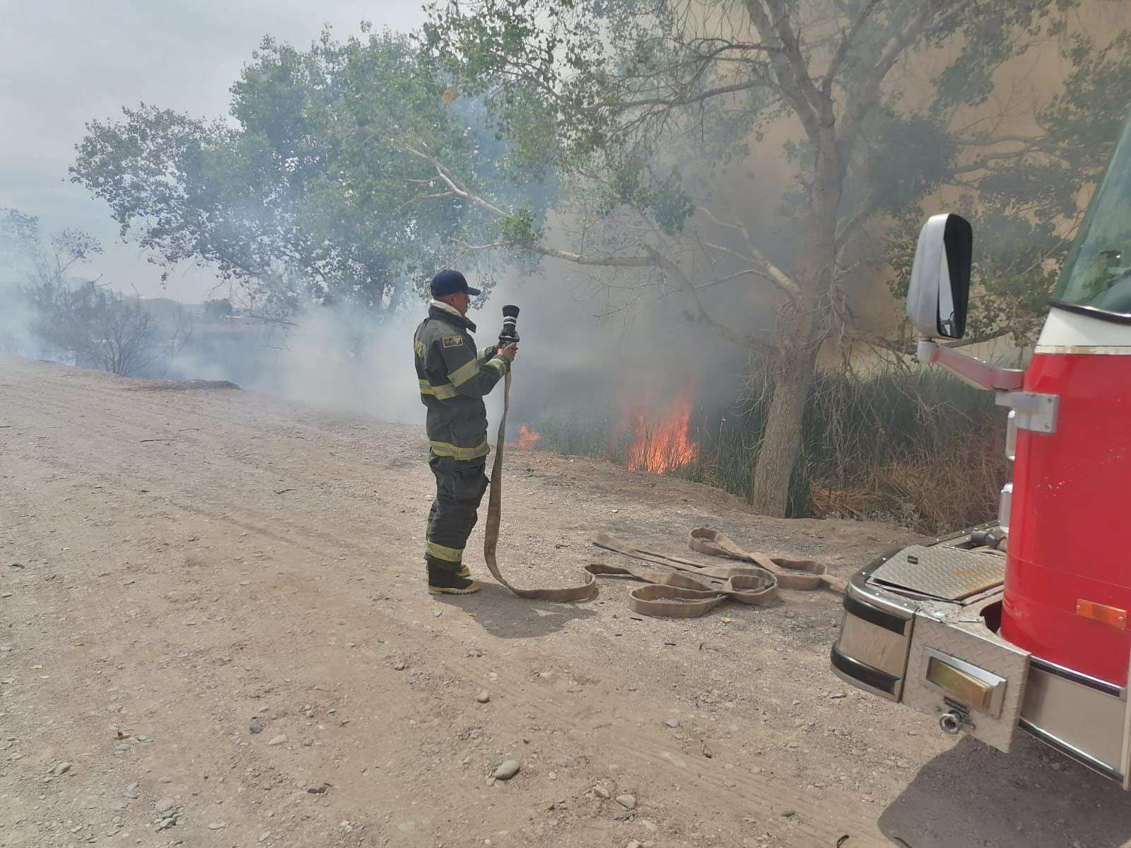 Prenden reseca vegetación en el san pedro y bomberos evita propagación
