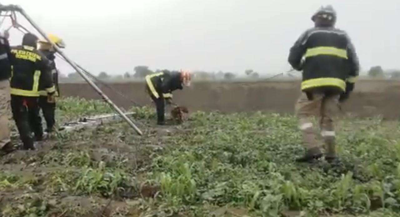 Rescatan a los perros atrapados en el socavón de puebla